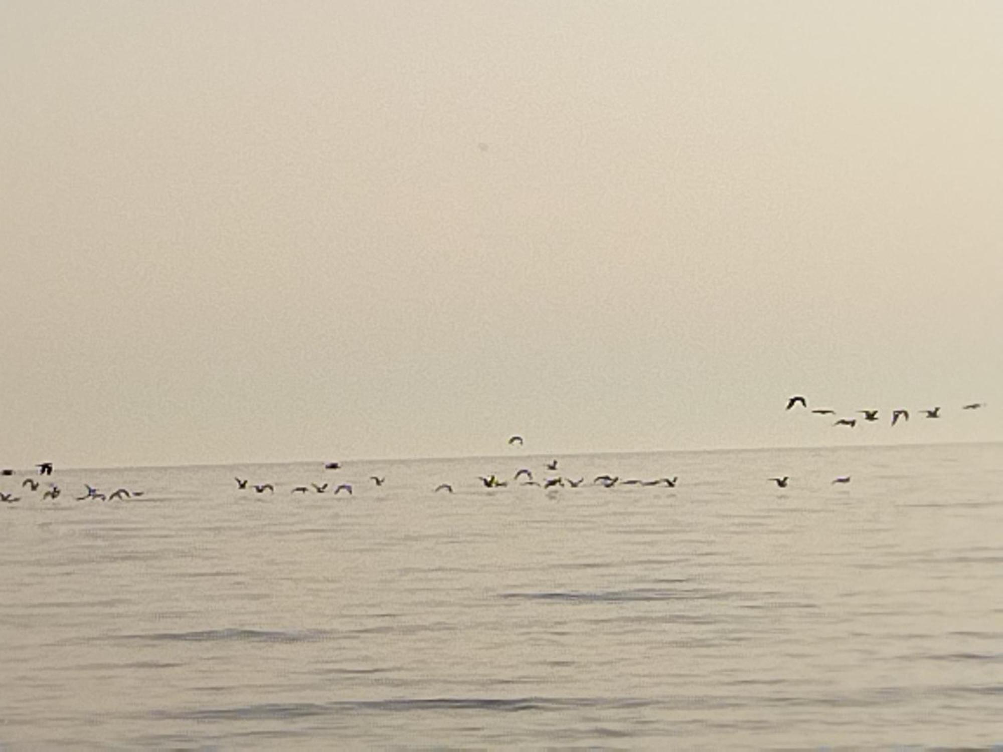La Casuzza Del Centro Villa Sciacca Cameră foto